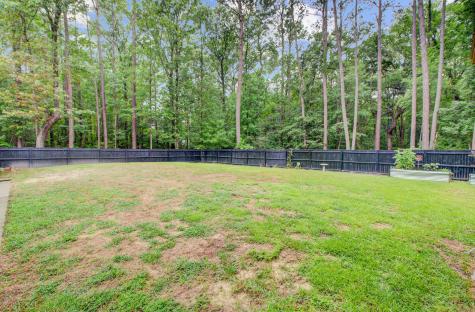 6190 Button Bush Drive Ravenel SC 29470