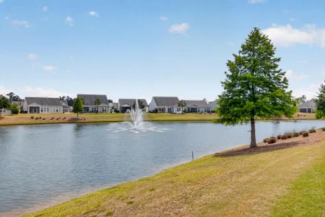 317 Bloomington Way Summerville SC 29486