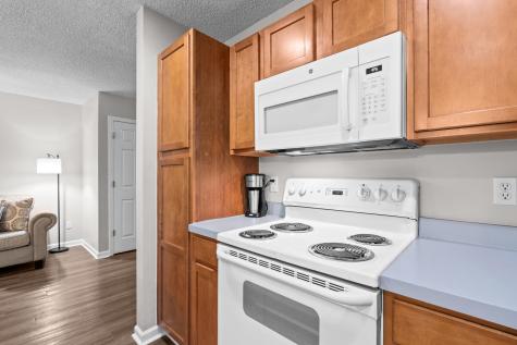 106 Madison Court Goose Creek SC 29445