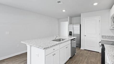 1044 Mulligan Drive Manning SC 29102