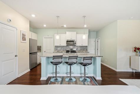 1067 Sago Palm Court Mount Pleasant SC 29429