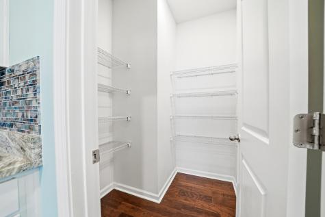 1067 Sago Palm Court Mount Pleasant SC 29429