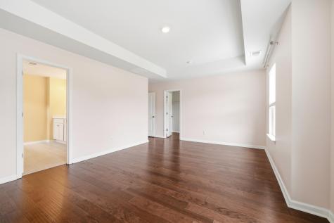 1067 Sago Palm Court Mount Pleasant SC 29429