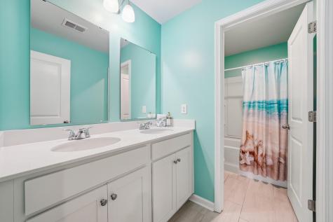 1067 Sago Palm Court Mount Pleasant SC 29429
