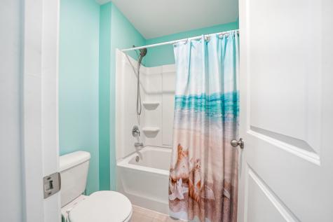 1067 Sago Palm Court Mount Pleasant SC 29429