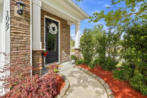 1067 Sago Palm Court Mount Pleasant SC 29429