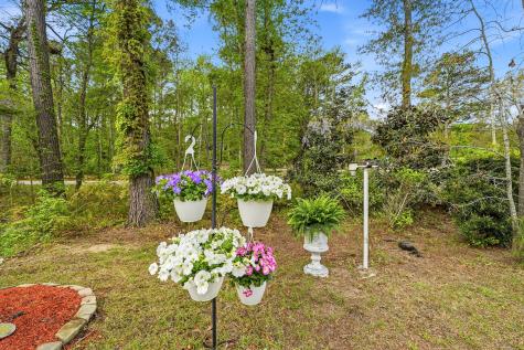 1067 Sago Palm Court Mount Pleasant SC 29429