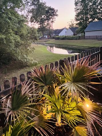 1439 Roustabout Way Charleston SC 29414