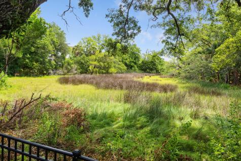 1675 Pierce Street Daniel Island SC 29492