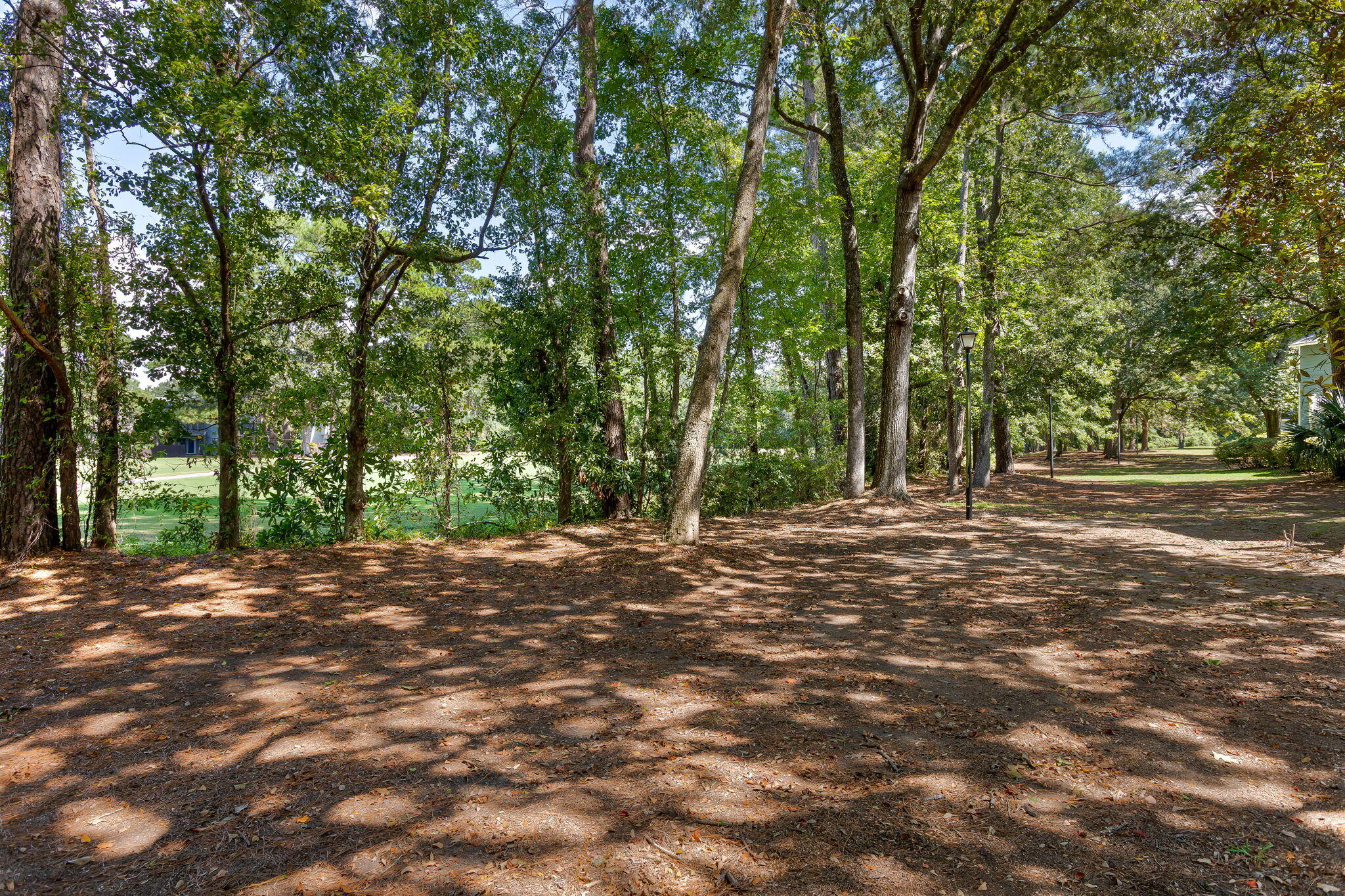 1713 Greystone Mount Pleasant SC 29464
