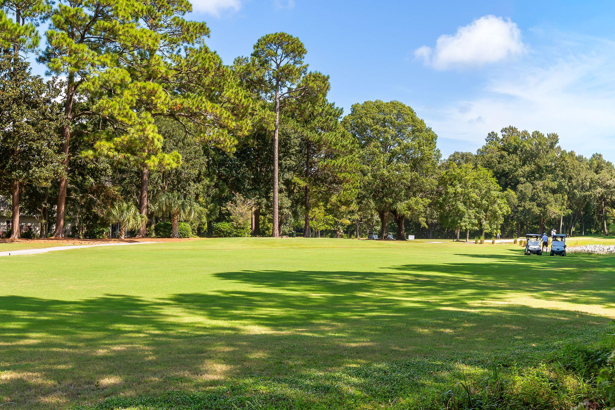 1713 Greystone Mount Pleasant SC 29464