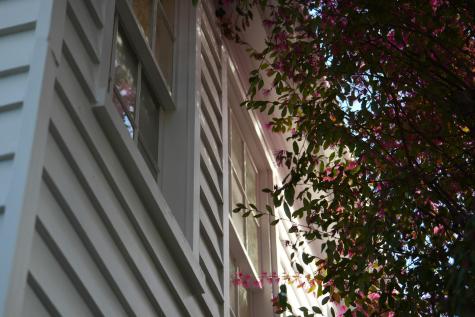17 Anson Street Charleston SC 29401