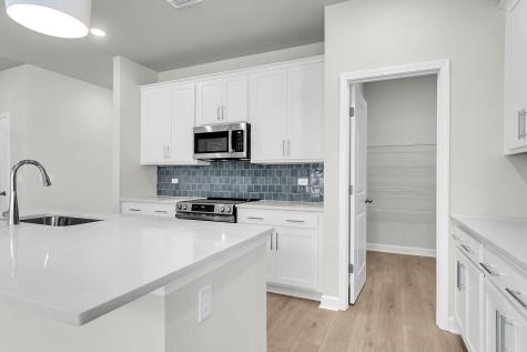 3027 Macaron Court Ravenel SC 29470