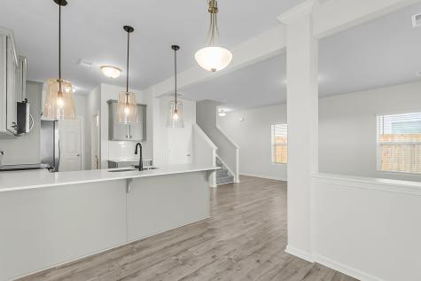 658 Snow Owl Drive Summerville SC 29486