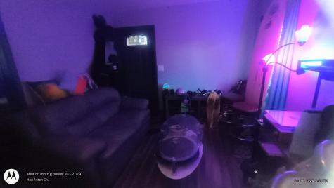 117 Roache Court Orangeburg SC 29115