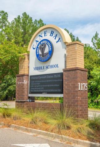 243 Cameron Street Summerville SC 29486