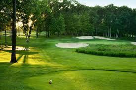 108 Back Tee Circle Summerville SC 29485