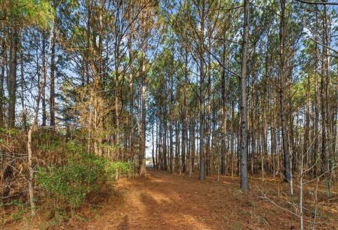 760 Coral Acres Drive Moncks Corner SC 29461