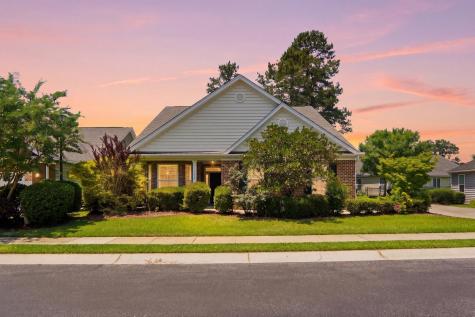 135 Brutus Lane Summerville SC 29485
