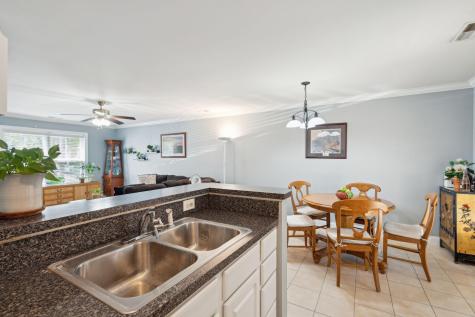 1678 Lauda Drive Mount Pleasant SC 29464