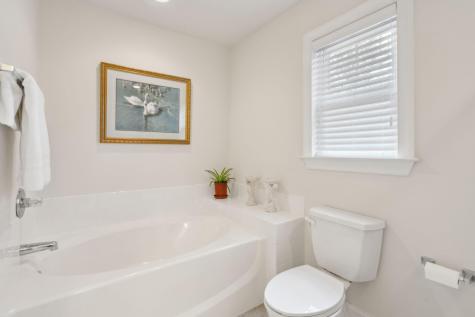 1678 Lauda Drive Mount Pleasant SC 29464