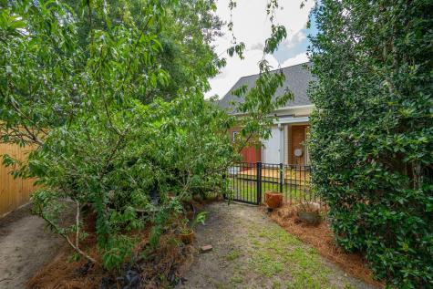 1678 Lauda Drive Mount Pleasant SC 29464