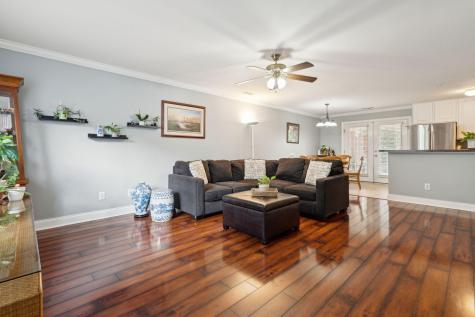 1678 Lauda Drive Mount Pleasant SC 29464