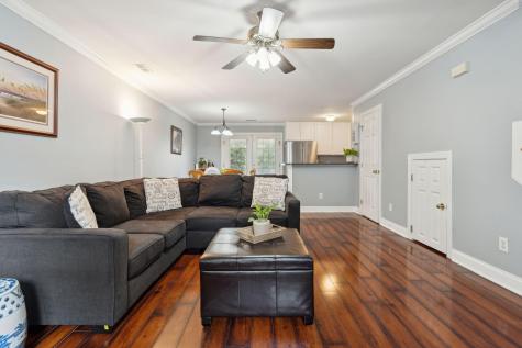 1678 Lauda Drive Mount Pleasant SC 29464
