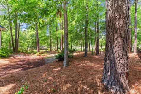 125 Pine Valley Drive Summerville SC 29483