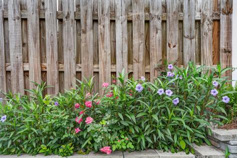 9086 Parlor Drive Ladson SC 29456