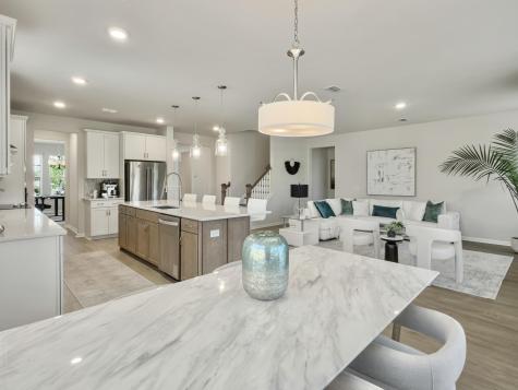468 White Magnolia Street Moncks Corner SC 29461