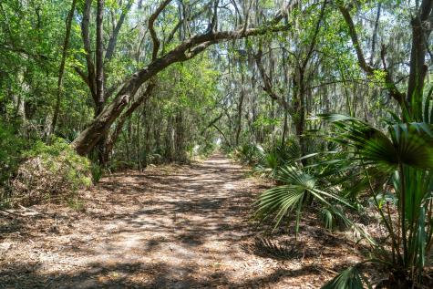 2627 Starfish Drive Johns Island SC 29455