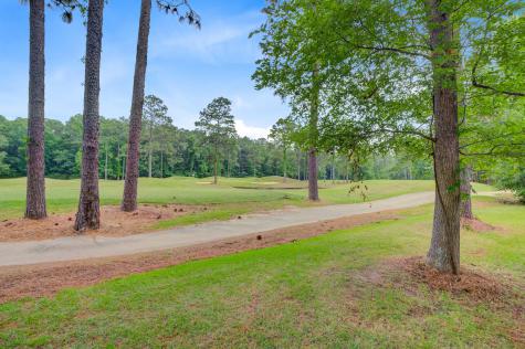204 Bellerive Lane Summerville SC 29483