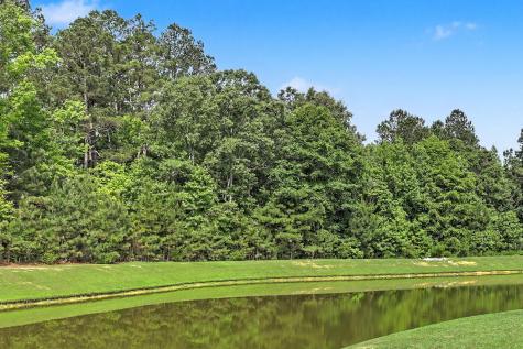 1326 Wild Goose Trail Summerville SC 29483