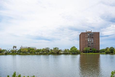 78 Halsey Boulevard Charleston SC 29401