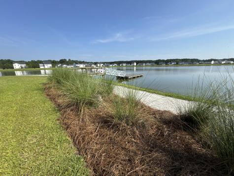 6976 Pumpkinseed Drive Johns Island SC 29455