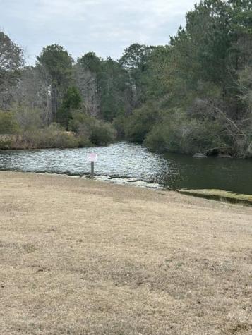 1152 Warrens Way Manning SC 29102
