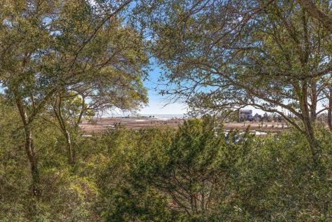 199 Lake Timicau Lane Dewees Island SC 29451