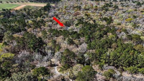 1901 Long Creek Road Wadmalaw Island SC 29487