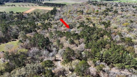 1901 Long Creek Road Wadmalaw Island SC 29487