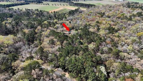 1901 Long Creek Road Wadmalaw Island SC 29487