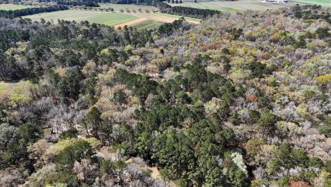 1901 Long Creek Road Wadmalaw Island SC 29487