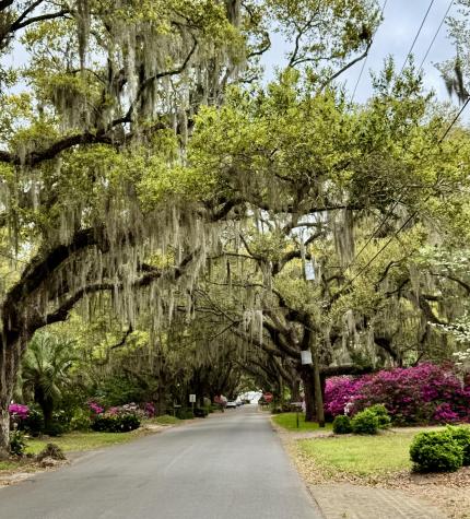 173 Stono Drive Charleston SC 29412