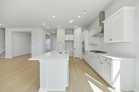 1674 Locals Street Summerville SC 29485
