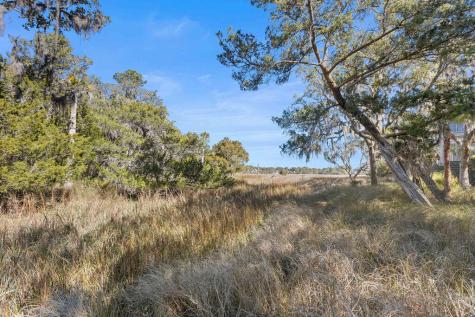 3236 Middle Dam Court Seabrook Island SC 29455