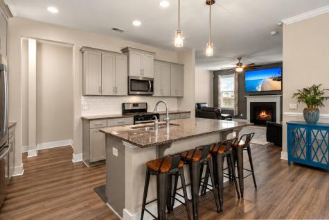 542 Alderly Drive Moncks Corner SC 29461