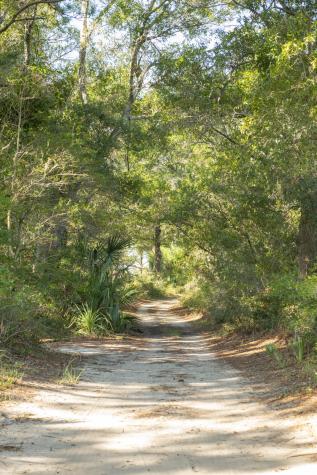 226 Old House Lane Dewees Island SC 29451