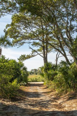 226 Old House Lane Dewees Island SC 29451