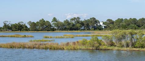 226 Old House Lane Dewees Island SC 29451