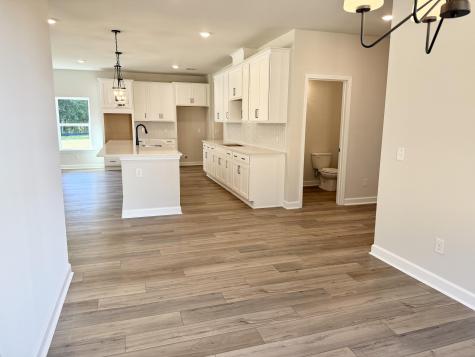 5376 Crinum Lilly Summerville SC 29485